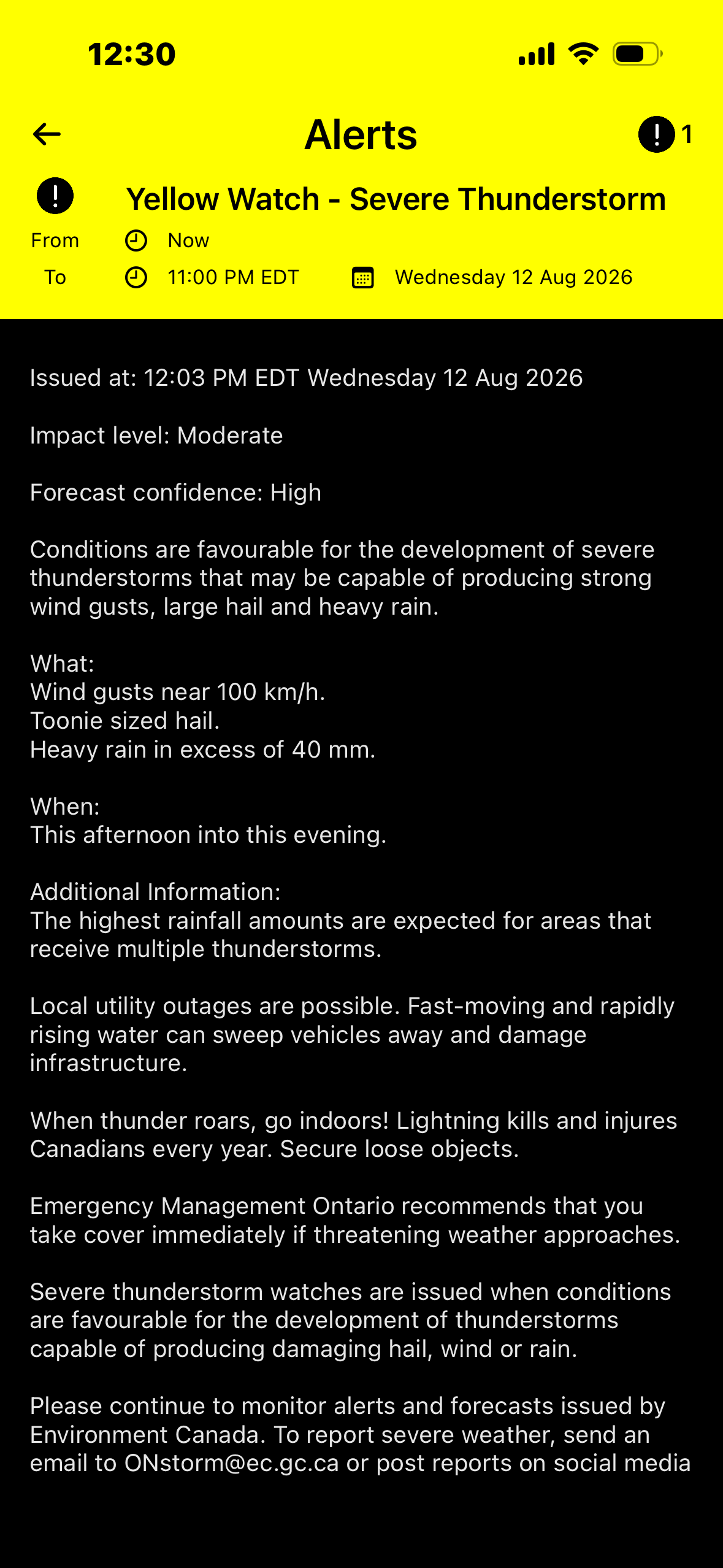 Severe Thunderstorm Watch